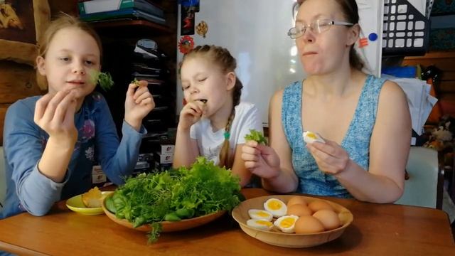 Большая тарелка свежей зелени на завтрак. Зелёный завтрак своими руками. Читай описание смотреть онлайн