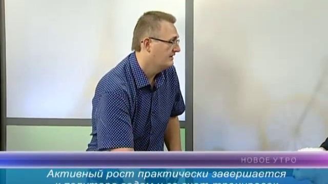 Физический тренинг собак для "новичков" от щенка до взрослой собаки смотреть онлайн