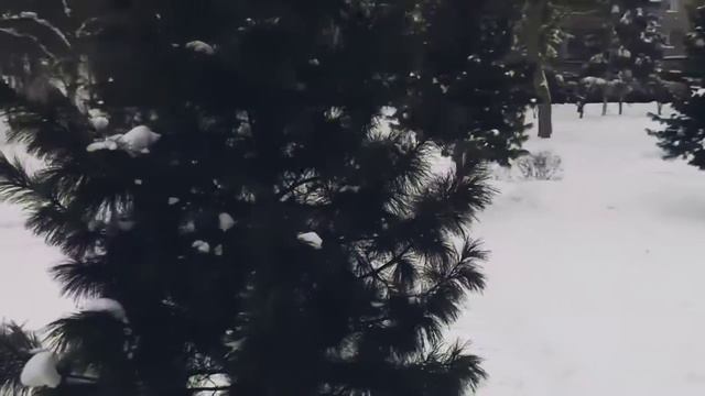 Видео с дрона Tello смотреть онлайн