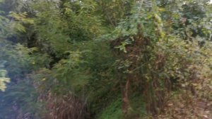 Заброшенное место в Твери