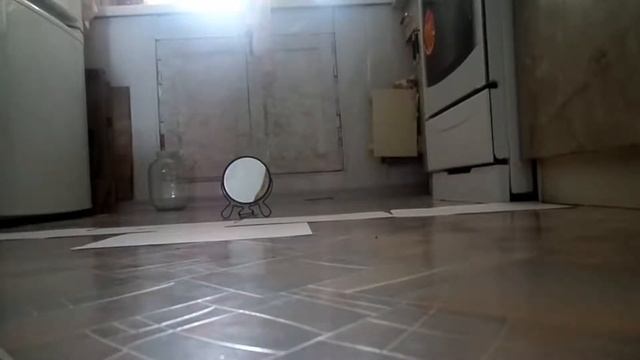 вызов духа"smile dog" что за стуки? смотреть онлайн