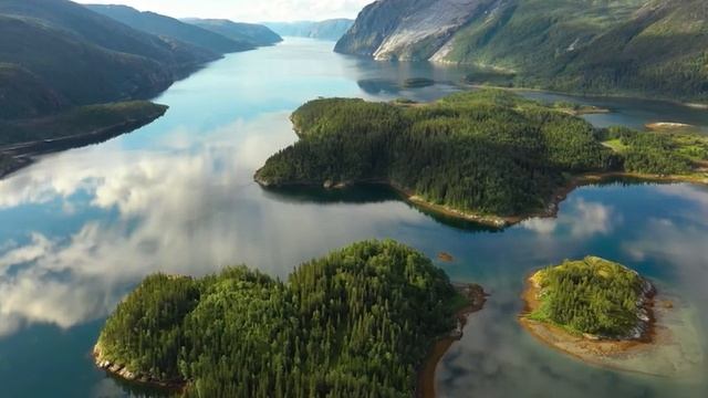 Нежная лечебная музыка для здоровья и успокоения нервной системы?глубокого расслабления #2 смотреть онлайн