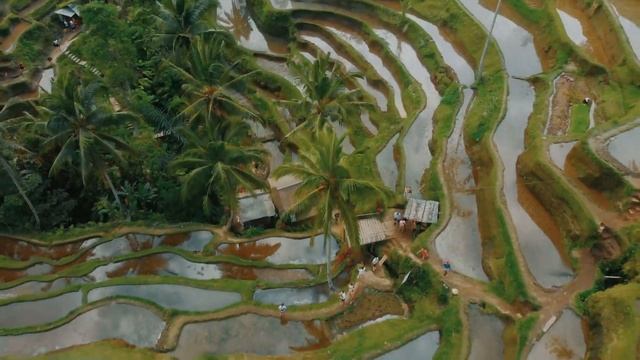 4K Video 24/7 - BALI INDONESIA - Relaxing music along with beautiful nature videos ( 4k Ultra HD ) смотреть онлайн