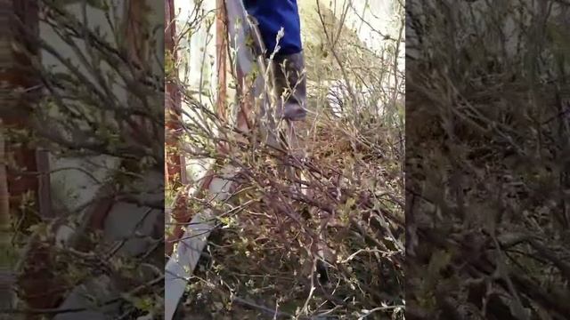 Не теплица "красит " человека, а человек теплицу смотреть онлайн