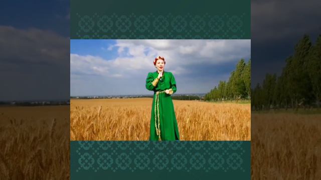 Голос меломана - "Шёл казак" смотреть онлайн