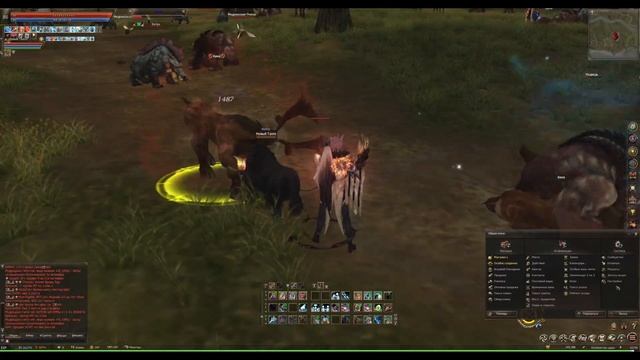 Питомцы - как прокачивать и есть ли смысл? Петы в Lineage 2 Essence смотреть онлайн