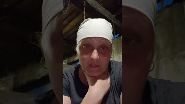 Сколько молока даёт Айрширская корова. смотреть онлайн