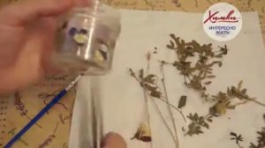 «Москитная свечка своими руками, спасет от комаров на даче и дома»