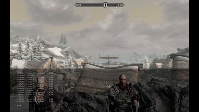 Skyrim SE/AE Autotest Mod Tutorial смотреть онлайн