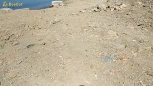 А-Море Резорт гостинца в Джубге .Аморе отель Джубга отзыв. База отдыха Аморе отзывы.RIP. Июль 2020