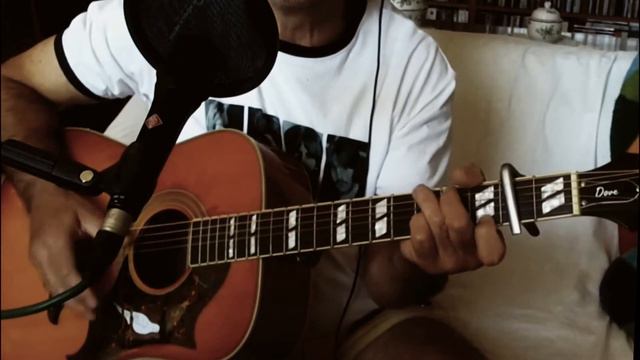 Honey Pie ~ The Beatles - Macca ~ Acoustic Cover w/ Epiphone Dove🎇Pro VB смотреть онлайн