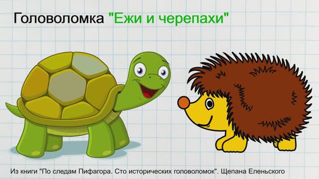 Головоломка. Ежи и черепахи. Задача на движение. Математика 5 класс.