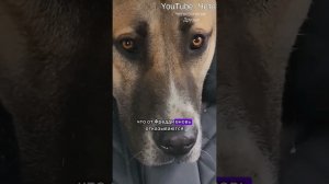 Пожалуйста максимально распространите связь +7 920 759-59-19 Екатерина.