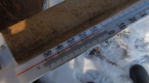 Контроль температурного режима в омшанике (зимовнике для пчёл).