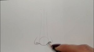 Как нарисовать нос человека карандашом (поэтапно)