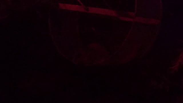 Московский зоопарк часть 3 смотреть онлайн