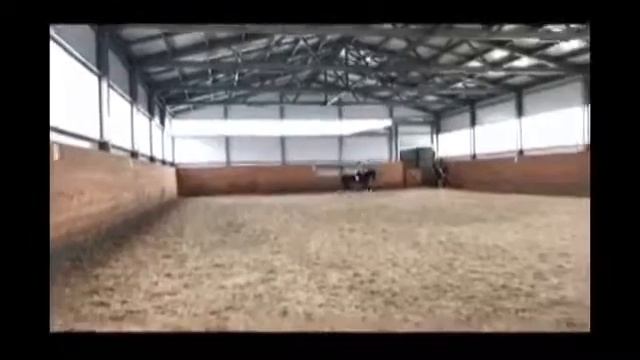 Horse for sale (Ганноверский жеребец) смотреть онлайн