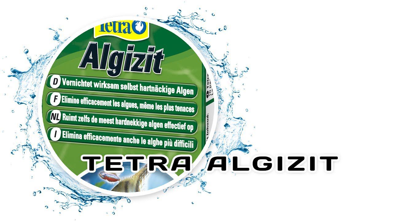Tetra Algizit. Препараты для борьбы с водорослями