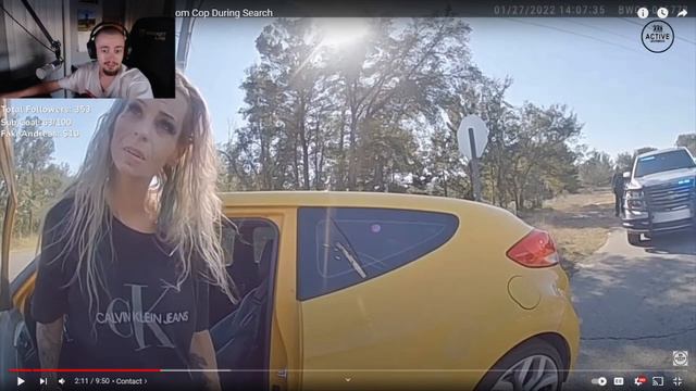 SKYRIM HIGH ELF NPC PULLED OVER BY POLICE смотреть онлайн