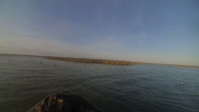 Охота на уток Сезон2019г смотреть онлайн