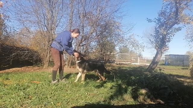 VID_20221011_134844.mp4 смотреть онлайн