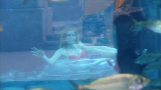 UAE, Dubai, Aquaventure, Ferrari World Abu Dhabi