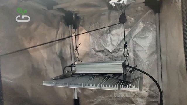 #35 Как повесить Quantum Board в гроубокс? | Монтируем освещение в гроубоксе #growbox #буднифермера смотреть онлайн