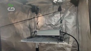 #35 Как повесить Quantum Board в гроубокс? | Монтируем освещение в гроубоксе #growbox #буднифермера