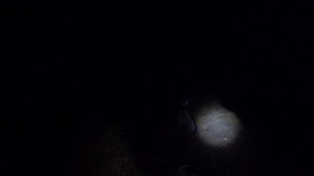 Пробный выезд на реку Кубань в надежде поймать сома! Рыбалка с ночевкой. смотреть онлайн