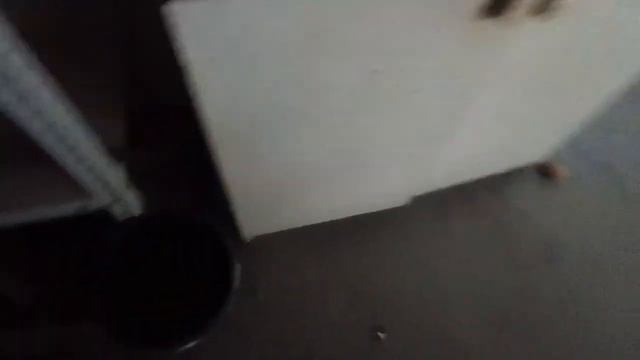 Сколько квочка вывела цыплят🐥🐤 Дождя не было 3 месяца💧💧💧Роза зацвела 🌹🌹🌹Рулька по китайски н смотреть онлайн