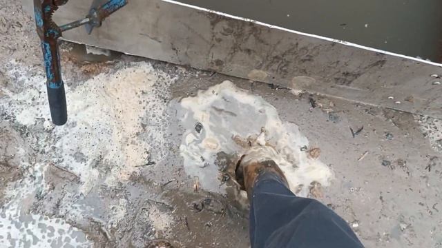 Добра и бобра!