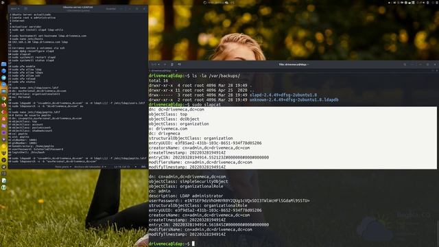 OpenLDAP Tutorial - Instalación y configuracion en Ubuntu Server смотреть онлайн