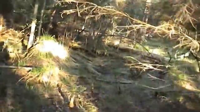 Тудовка-2005 (все части) смотреть онлайн