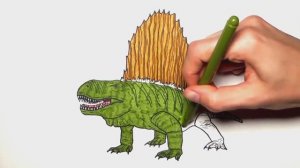 Рисование и раскраска Диметродон - Динозавры цветные раскраски для детей