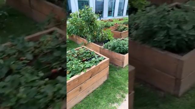 ПРЯМОЙ ЭФИР - Секретные места района Карлин (прогулка) смотреть онлайн