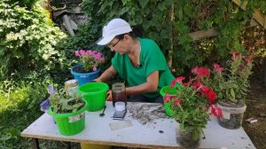 удобрение ZION, как он работает? эксперимент !