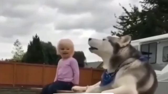 ... вечерняя репетиция перед ночным"концертом"? смотреть онлайн