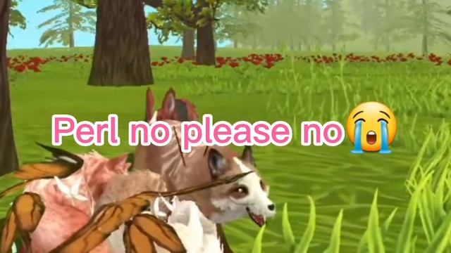 The wings fox(perl's flash back) 2/5 смотреть онлайн