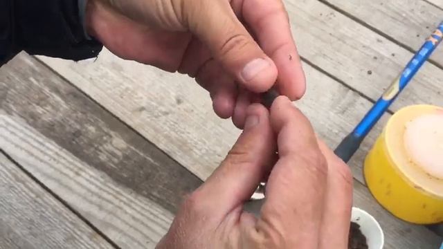 На что ловить карпа в остывающей воде. РК Фишка Липки. смотреть онлайн