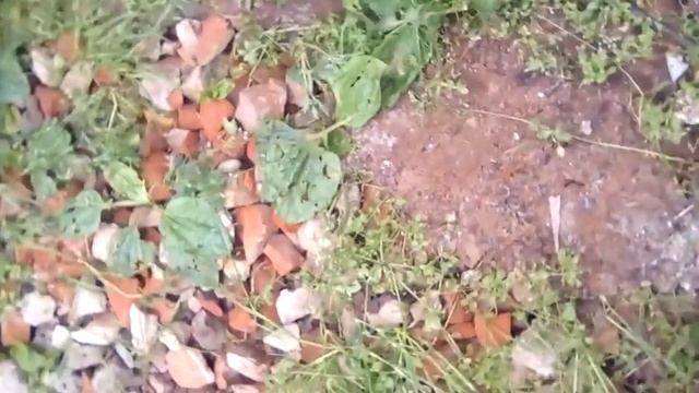 подъемно-поворотные ворота дешево своими руками смотреть онлайн