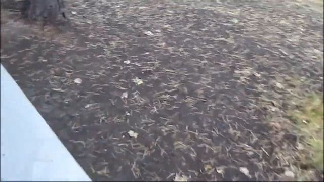 Мокшан.  Обращение к жителям Мокшана.