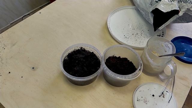 Энхитре́ус. Содержание. Разведение. смотреть онлайн