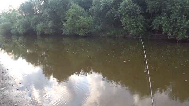 ЛОВЛЯ ГОЛАВЛЯ НА СПИННИНГ. ЛЮБИМАЯ ВЕРТУШКА ЛОВИТ ВСЁ смотреть онлайн