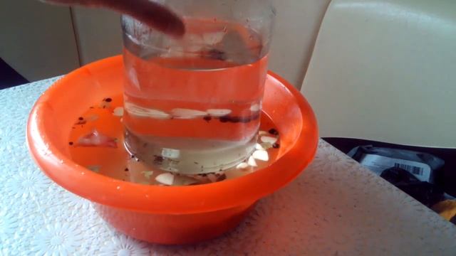 КАК засолить сало в рассоле , Лучший рецепт проверенный временем смотреть онлайн