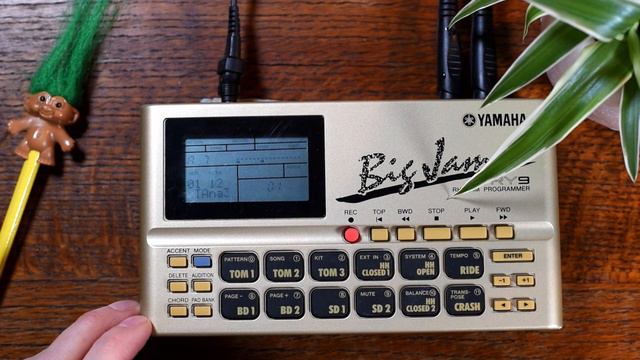 🥳 Having fun with the Yamaha RY9 🥳 🎧 (no talking) 🎧 смотреть онлайн