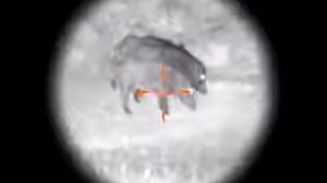 Прицел ночного видения НВ Phantom 4x60 BW