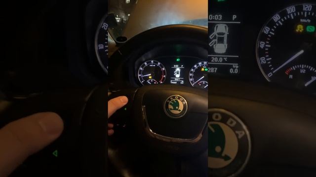 Поиск и удаление ошибок после установки нового подрулевой блока Octavia a5 fl смотреть онлайн