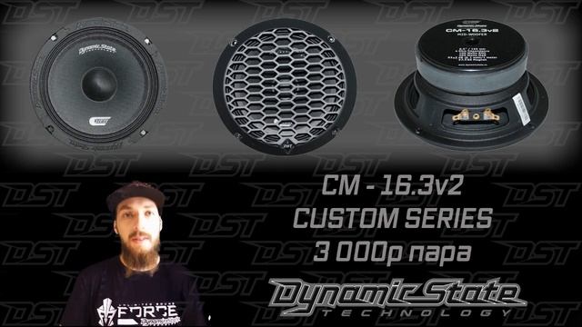 Какие динамики лучше поставить? Выбираем бюджетные динамики 16 см