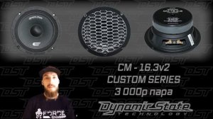 Какие динамики лучше поставить? Выбираем бюджетные динамики 16 см