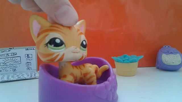 Газета от Адины \ Почему долго не выходили видео \ скоро будет новый сериал смотреть онлайн